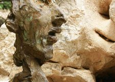 Dichotomy  (Image 1)