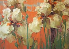 Dance of the Iris